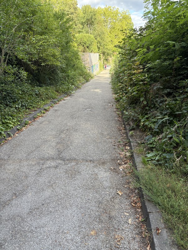Ein asphaltierter Weg führt durch einen Wald. Beidseits der Sicht weisen Bäume und Sträucher auf, während Pflanzen und Laub auf der Rechten das Randgestrüpp bilden. An der rechten Seite ist ein Zaun zur Markierung dargestellt. In der Ferne sind an einigen Stellen Menschen sichtbar.