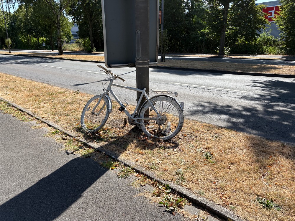 Ein weißes Fahrrad steht an einen grauen Laternenpfahl gelehnt. Das Fahrrad ist auf einem schmalen Grasstreifen neben einer asphaltierten Straße abgestellt. Im Hintergrund sind Bäume, ein Gehweg und ein Teil eines Gebäudes mit roter Schrift zu sehen. Die Szene wirkt sonnig und ruhig.