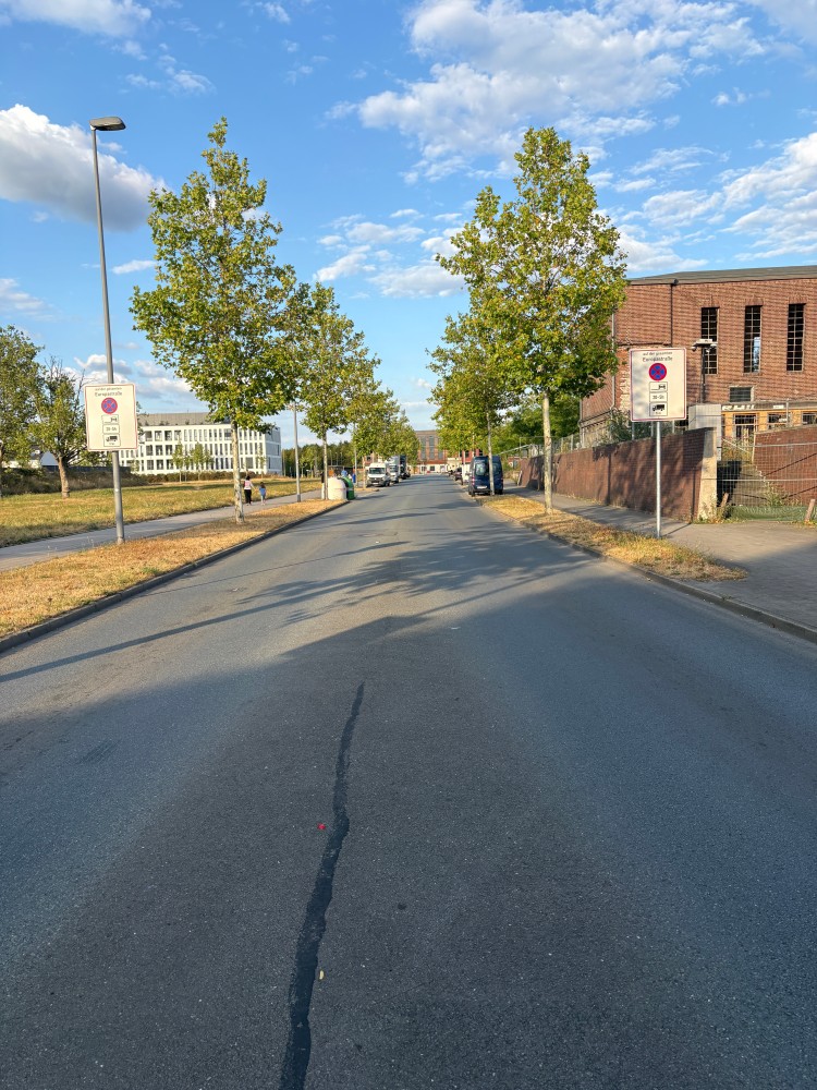 Eine von Bäumen gesäumte gerade strasse. Im Vordergrund erkennt man ein Parkverbotsschild zwischen 20-5 Uhr außer für LKW, weit im Hintergrund ist die Schule zu erkennen