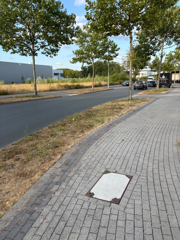 Aufnahme der Strasse im weiteren verlauf. Rechts und Links Bäume, parkende Autos und Anhänger und nur ungesicherte Übergänge.
