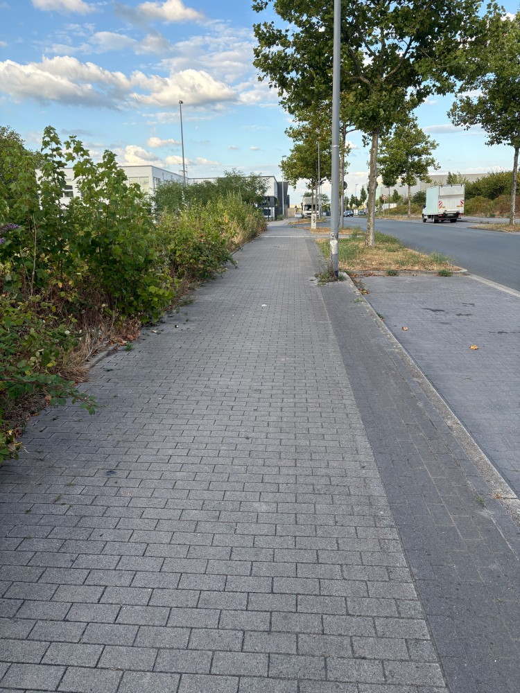 Ein weiteren Bild welches zeigt wie Eng die Gehwege hier sind.