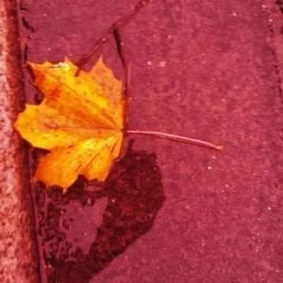 Berg am Laimerin (v2)