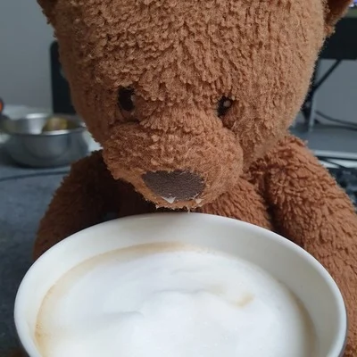 kaffeebär